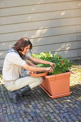 Produktbild von elho green basics Garten xxl Untersetzer 60cm - mild tonrot