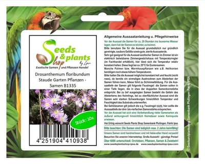 Produktbild von 10x Drosanthemum floribundum Staude Garten Pflanzen - Samen B1335