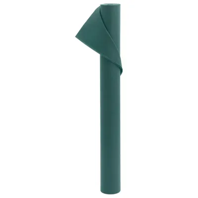 Image de vidaXL Non-tissé d'hiver 2 rouleaux 70 g/m² 10x1,6 m