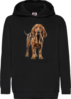 Zdjęcie produktu dla Dziecięca Bluza Z Kapturem Dogs Breeds Bloodhound Dog Breed 005, 12-13 Jahr - 152 / Czarny