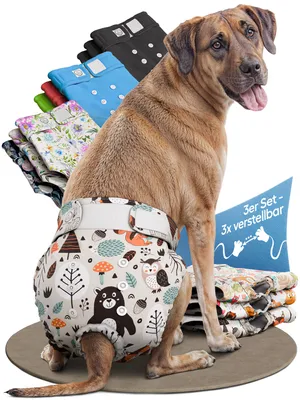 Produktbild von HUND IST KÖNIG Windeln für Hündinnen [3 Stk], XL (Taille 66-83 cm), saugstarke Windeln, 3-Fach justierbar für festen Sitz bei Läufigkeit & Inkontinenz