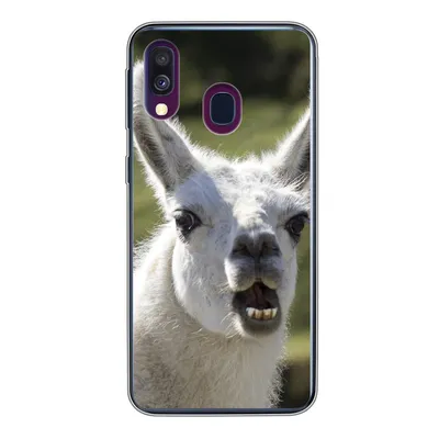 Produktbild von MuchoWow® Handyhülle Schutzhülle Hülle für Samsung Galaxy A40 Lama - Lustig - Kinder - Jungen - Mädchen - Kinder Silikon Softcase Handy Hülle - Handy-Tasche