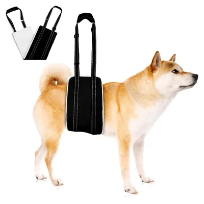 Produktbild von Hunde Tragehilfe, Unterstützungsgeschirr für die Hinterbeine, weiches Material, verstellbare Gehhilfe für ältere, verletzte oder behinderte Hunde (M)