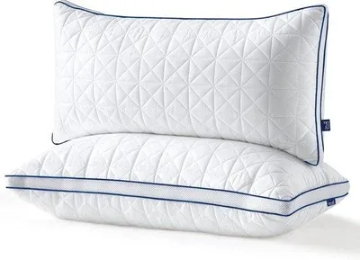 Produktbild von Famanu Kissen Set 40x80 cm - Mikrofaser Schlafkissen für Allergiker und Seitenschläfer