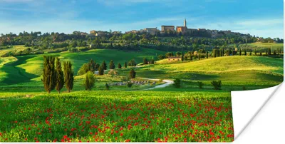 Produktbild von MuchoWow® Poster Toskana - Landschaft - Blumen 40x20 cm - Poster für die Wand - Poster Schlafzimmer