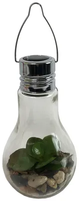 Produktbild von LED Glas Glühbirne zum Hängen mit Sukkulente Ø 9 x H 18 cm