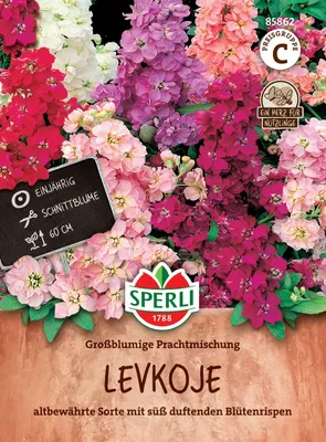 Produktbild von SPERLI Levkojensamen Großblumige Prachtmischung Matthiola incana 100 Pflanzen
