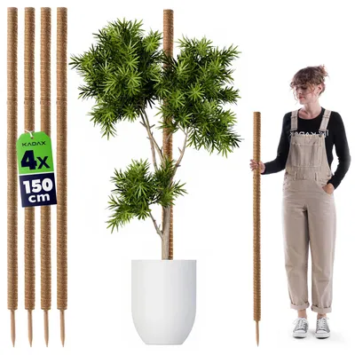 Obrázok produktu pre 4 kusy oporných tyčí – kvetinové tyče – výška 150 cm – kokosové vlákno – priemer 4,5 cm – vhodné pre izbové rastliny a popínavé rastliny
