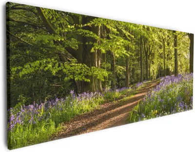 Produktbild von Wallario Premium Leinwandbild Blaues Hasenglöckchen im Sommerwald in Größe 80 x 200 cm
