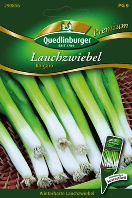 Artikelbild 1 von 'Lauchzwiebeln Kaigaro' aus der Kategorie Lauchsamen