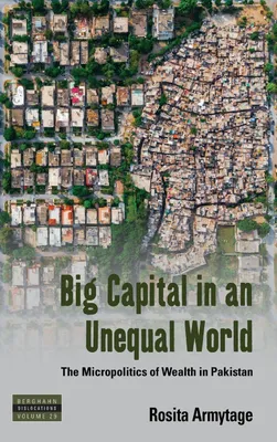 Produktbild von Big Capital in an Unequal World