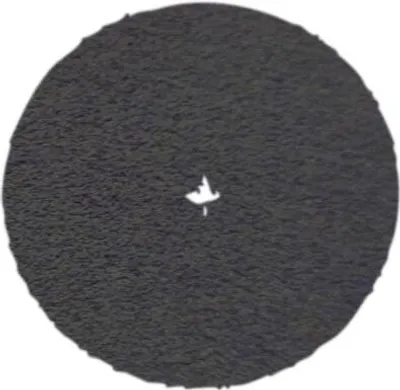 Produktbild von Pallmann Klettscheibe 150mm K 36 Kreuzloch Siliciumkarbid