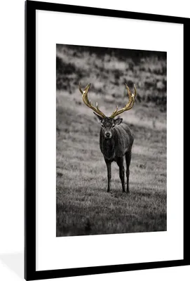 Produktbild von MuchoWow® MuchoWow® Gerahmtes Poster Hirsch - Gold - Geweih 60x90 cm - Poster mit zchwarzem Bilderrahmen - Dekoration - Wandposter Wohnzimmer - Hochwertig