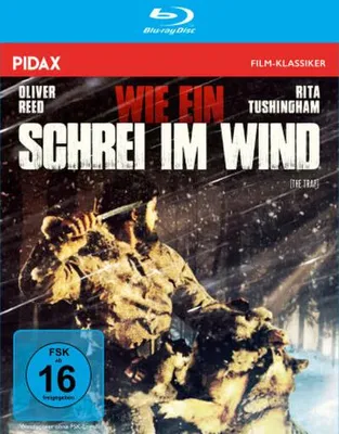 Produktbild von Wie ein Schrei im Wind