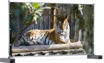 Produktbild von Wallario XXL Outdoor-Poster für Garten oder Balkon, Motiv Tiger im Sonnenschein, in ca. 340 x 173 cm