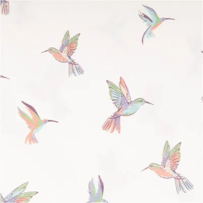 Produktbild von Baumwollstoff Meterware Popeline Stoff Kolibri wollweiß bunt 145cm