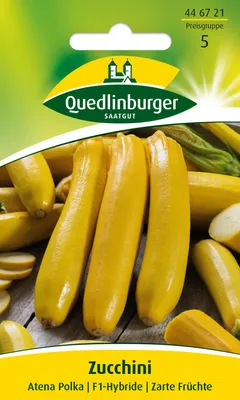 Artikelbild 1 von 'Zucchini Atena Polka' aus der Kategorie Zucchinisamen