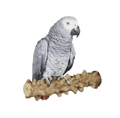Obrázok produktu pre Bidlo pre papagáje a vtáky Pepper Branch L 27cm