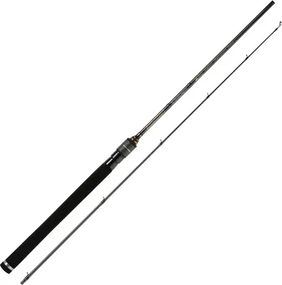 Produktbild von Hearty Rise 662 MS Evolution III 2m 5-18g - Spinnrute