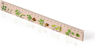 Obrázek produktu pro Metrie | Didakt-M07, Dřevěné pravítko s potiskem | Listnaté stromy | 25 cm