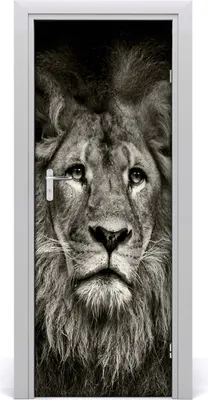 Produktbild von Tulup Türaufkleber 75x205 cm Dekorative Aufkleber Selbstklebend Wasserdichte Tapete Abnehmbar Schlafzimmer Wohnzimmer Wohnkultur - Lion Wand