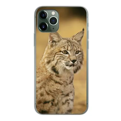 Produktbild von MuchoWow® Handyhülle Schutzhülle Hülle für iPhone 11 Pro Luchs - Braun - Gras Silikon Softcase Handy Hülle - Handy