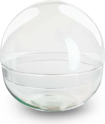 Produktbild von Kugelglas - Glasglocke - Geschlossenes Terrarium ↑ 28 cm