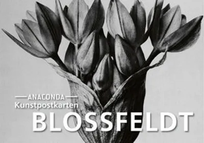 Image de Postkarten-Set Blossfeldt