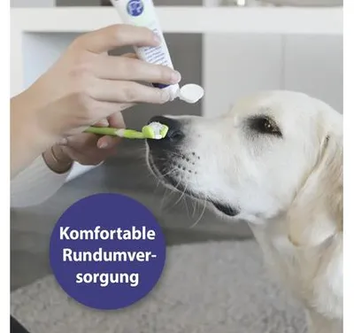 Immagine prodotto di ardapcare Canosept set per la cura dentale dei cani