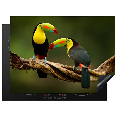 Produktbild von KitchenYeah© Herdabdeckplatte Vögel - Tukan - Zweig - Tiere - Regenbogen , 70x52cm, Küche Deko, Glaskeramikkochfeld Herdabdeckung, Abdeckplatte fùr Kochfeld