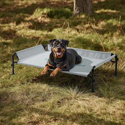 Image de Lit pour chien de jardin, lit surélevé pour chien, lit d'extérieur pour chien, lavable et résistant, bonne aération, gris, L, 124,5 x 77,7 x 31 cm