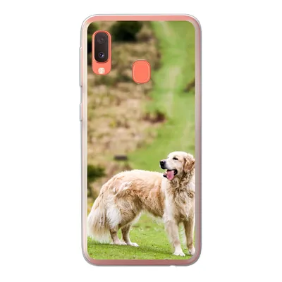 Produktbild von MuchoWow® Handyhülle Schutzhülle Hülle für Samsung Galaxy A20e Schönes Bild eines Golden Retrievers Silikon Softcase Handy Hülle - Abdeckung