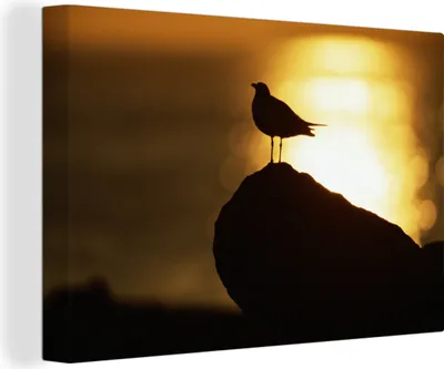 Produktbild von OneMillionCanvasses® - Leinwandbilder - 140x90 cm, Lachmöwe bei Sonnenuntergang, Wandbilder Kunstdruck Wanddekoration - Foto auf Leinwand - Gemälde auf Holzrahmen