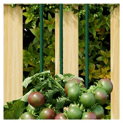 Produktbild von Pflanzkäfige und Stützen, 30 Stück, grün, 60 cm, Stahl