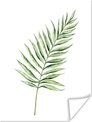 Produktbild von MuchoWow® Poster Pflanze - Aquarell 30x40 cm - Wandplakat - Poster Kinderzimmer