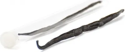 Produktbild von Echte Vanilleschoten - echte Bourbonvanille 17-18cm - Vanille Schote ganz - 1 Stück