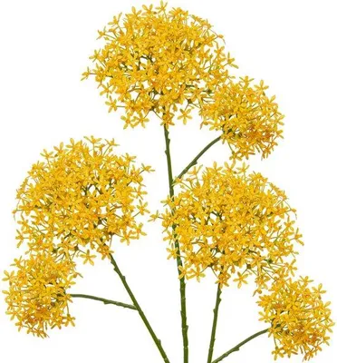 Imagen del producto de Ibenzoa® - Juego de 3 flores artificiales – pétalos realistas (Calotropis gigantea), 70,5 cm, plástico, diámetro de las flores 12/8 cm, tallos flexibles, para decoración