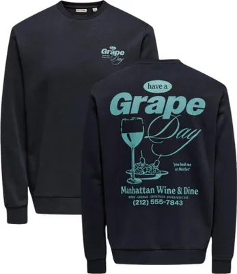 Produktbild von Only & Sons Alfresco Crew Neck Pullover Herren