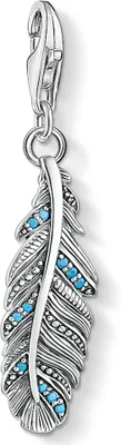 Produktbild von Thomas Sabo Damen-Charm 1774-667-17 Silber Feder