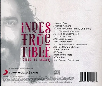 Produktbild von Indestructible