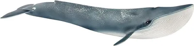 Produktbild von Schleich Wild Life Blauwal Spielfigur Wal Säugetier Fisch 14806