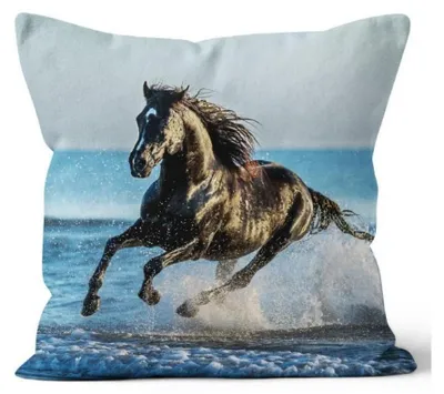 Obrázok produktu pre VertriebsArena GmbH Vankúš dekoratívny vankúš voda galop kôň vo vode v 40 x 40 cm, 4020286