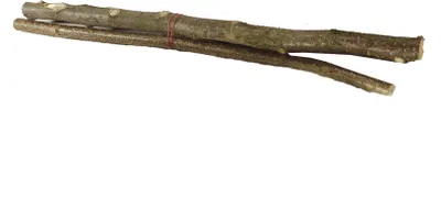 Produktbild von Elmato 10607 Naturholz Sitzstangen, ca. 60 cm, 5-15 mm, 2 Stück