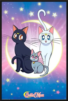 Produktbild von Sailor Moon - Poster - Luna, Artemis & Diana + Wechselrahmen, Shinsuke® Maxi Kunststoff schwarz, Acryl-Scheibe