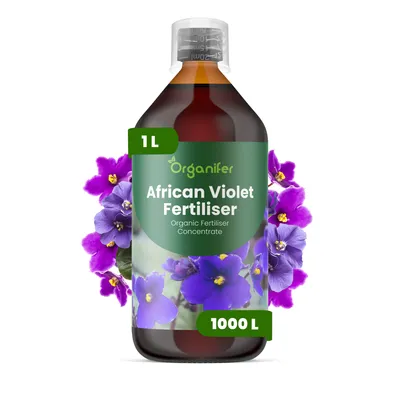 Produktbild von Afrikanisches Veilchen Flüssigdünger 1L – 3-4-3 NPK – Flüssigdünger Zimmerpflanzen – Fördert Blütenbildung & Blätter – Nährstoffaufnahme – Organifer