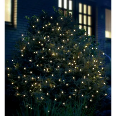 A bush decorated with many small, warm white LED lights at night.