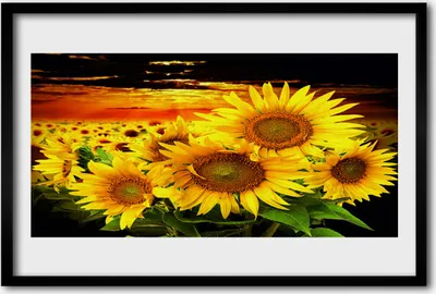 Produktbild von Bild 60x40 MDF-Rahmen Wandkunst Sonnenblume Pflanze