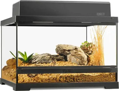 Immagine prodotto di Exo Terra Pro Terrarium S Terrario basso 45x45x30cm Argento 45x45x30 cm Argento 45x45x30 cm