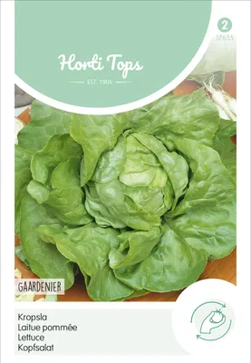Artikelbild 2 von 'Kopfsalat Gärtnerstolz' aus der Kategorie Salatsamen