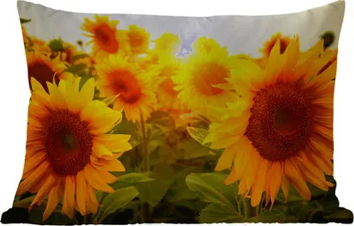 Produktbild von MuchoWow® Outdoor Kissen - Sonnenblume - Gelb - Blumen - Sonne - 50x30 cm - Wetterfest - Lounge Kissen - Sofa kissen - Wohnzimmer Dekoration